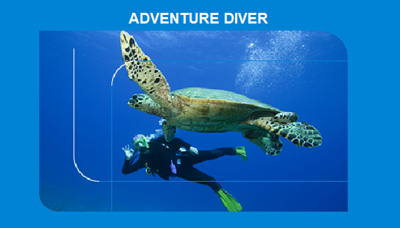 Adventure Diver