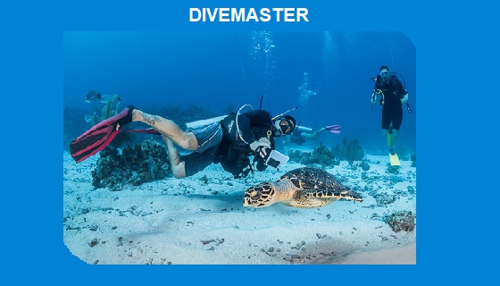 Divemaster